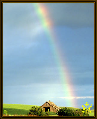 rainbow