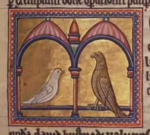 birds